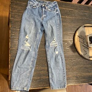 High rise straight wild fable jean